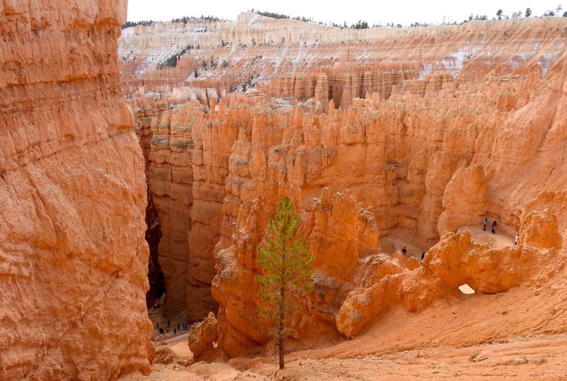 Best Hikes in Bryce Canyon Navajo Loop Trail In Bryce Canyon National Park