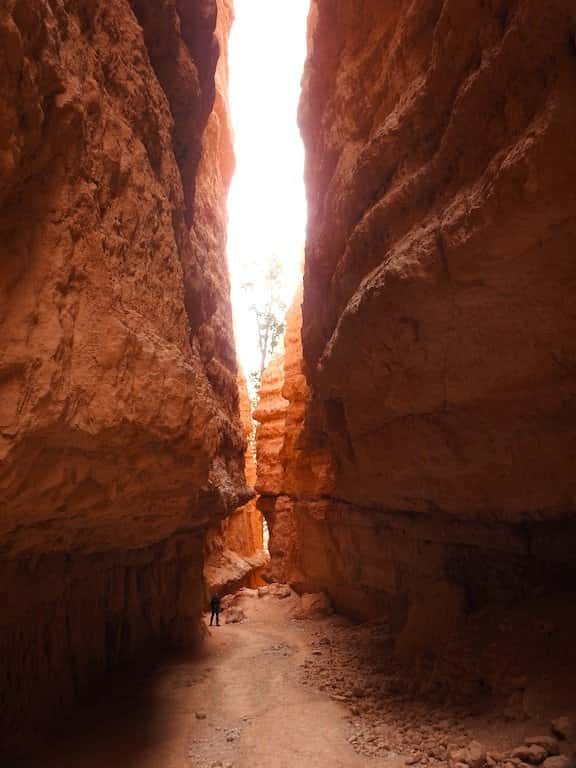 Top Hikes in Bryce Canyon National Park Top Hikes in Bryce Canyon National Park