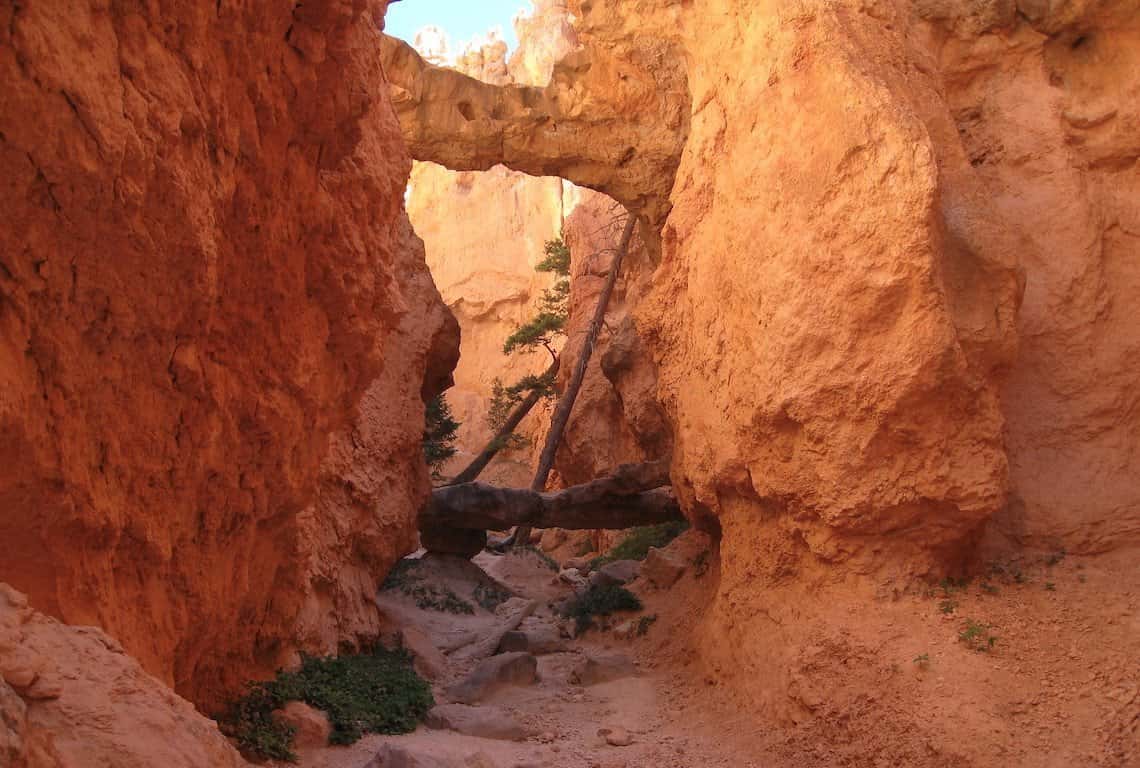 Top Hikes in Bryce Canyon National Park Top Hikes in Bryce Canyon National Park