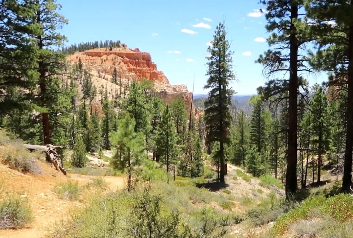 Best Hikes in Bryce Canyon Sheep Creek and Swamp Canyon Loop Trail in Bryce Canyon