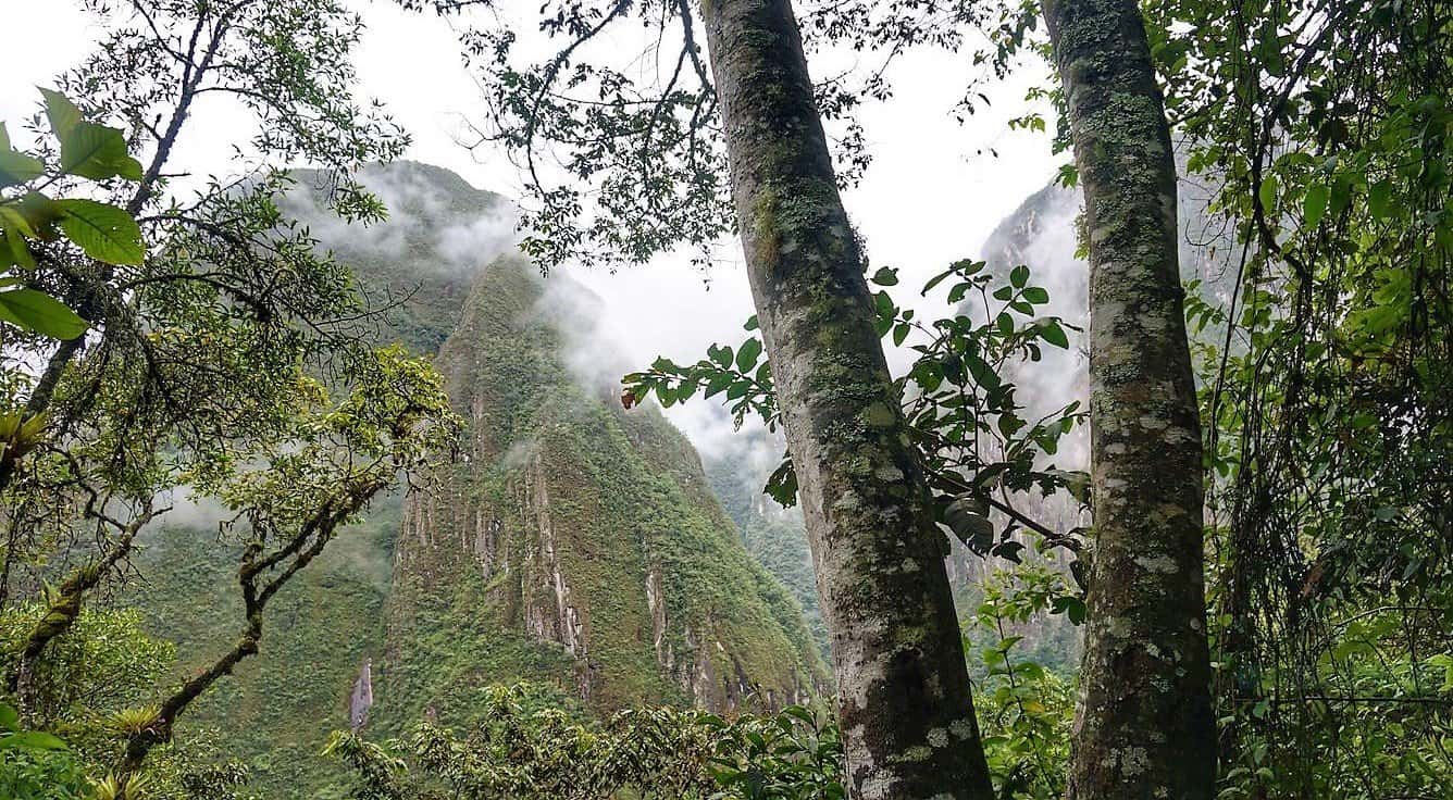 Hiking to Machu Picchu from Aguas Calientes