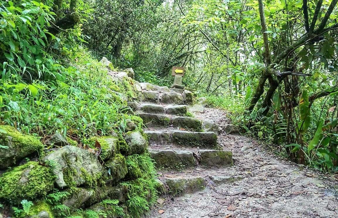 Hiking to Machu Picchu from Aguas Calientes