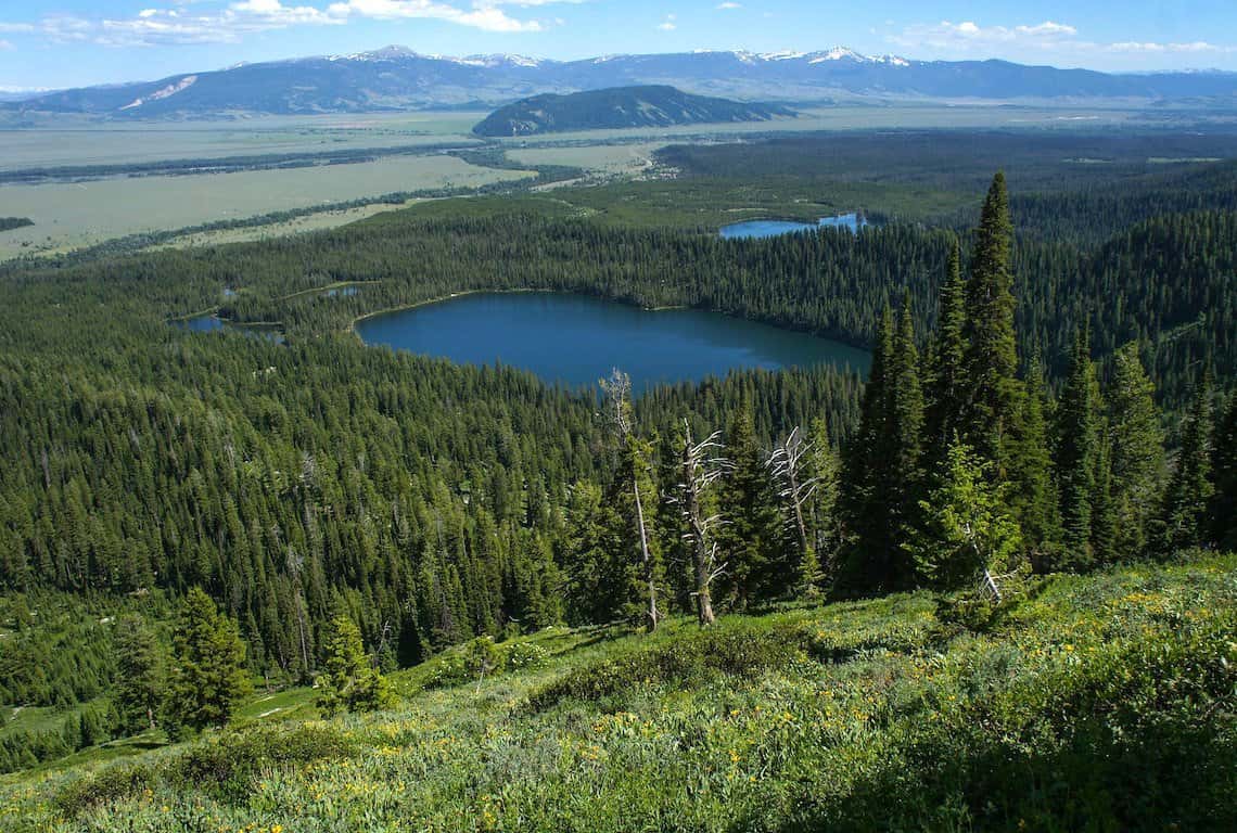 Best Hikes in Grand Teton