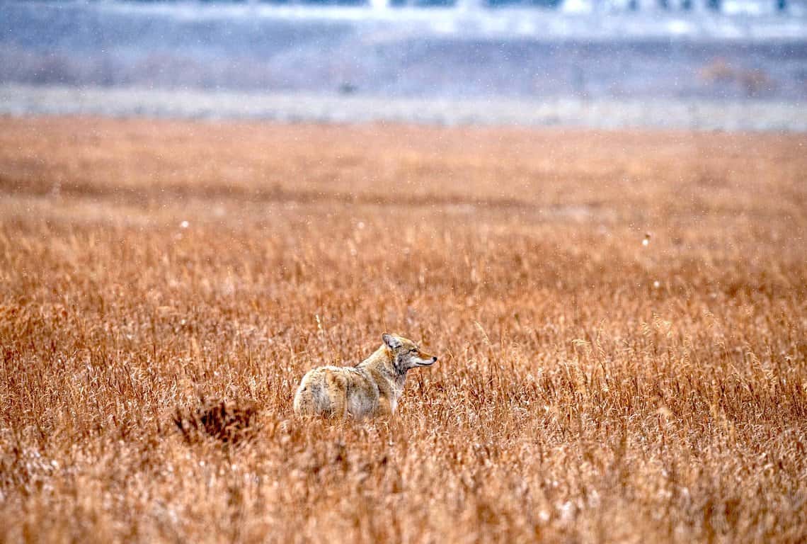 Best Photography Locations in Grand Teton National Park