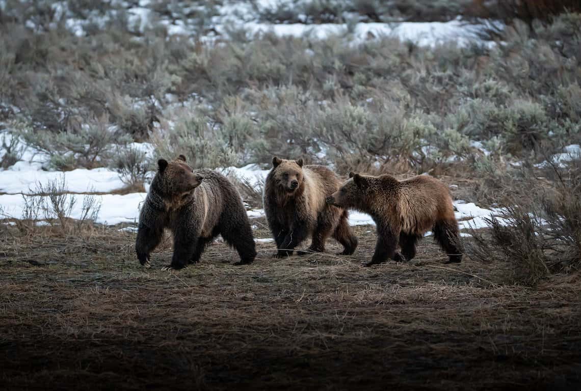 11 Best Things to Do in Grand Teton National Park