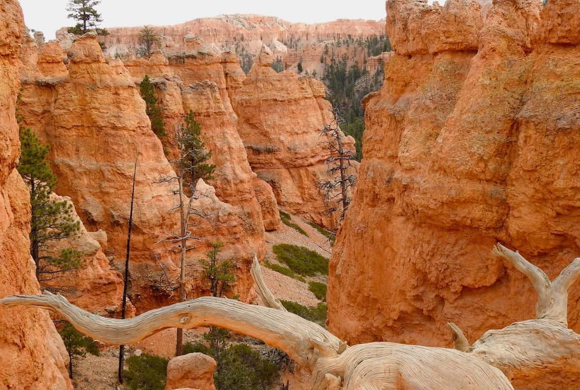 Best Photography Locations in Bryce Canyon