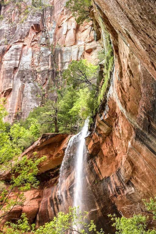Scenic Drive in Zion National Park
