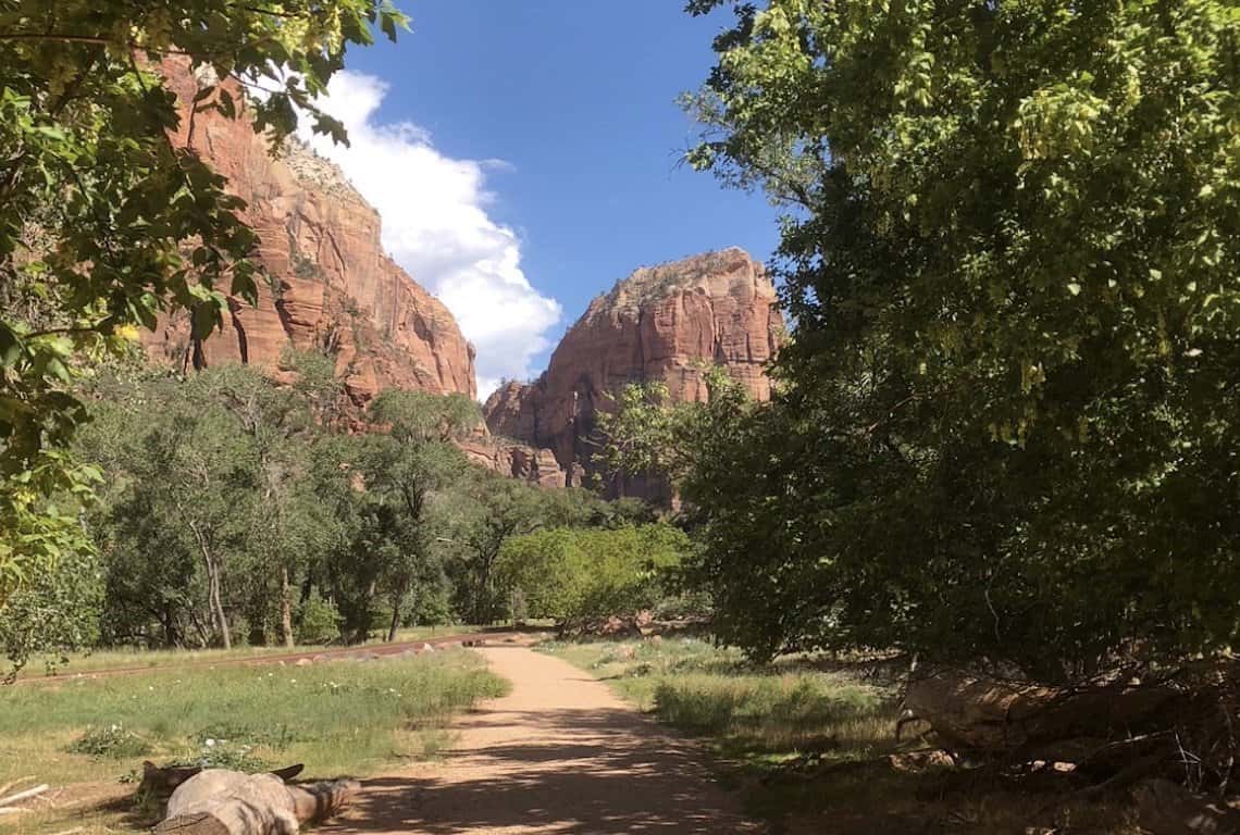Scenic Drive in Zion National Park