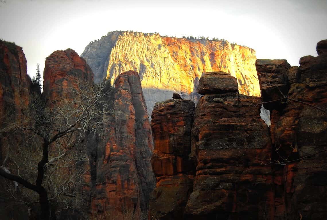 Scenic Drive in Zion National Park