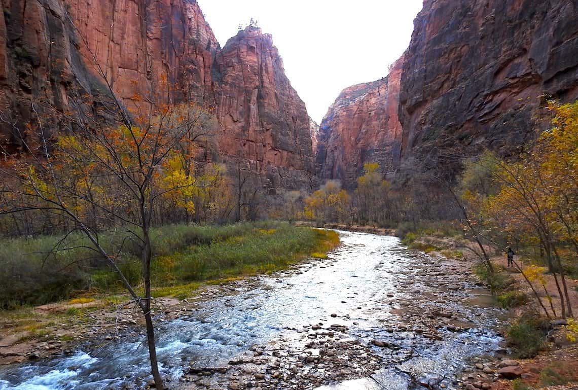 Scenic Drive in Zion National Park