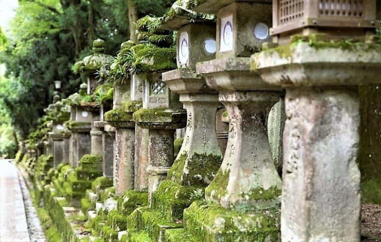 7 Reasons Why You Should Visit Kasuga Taisha Shrine In Nara • Intrepid