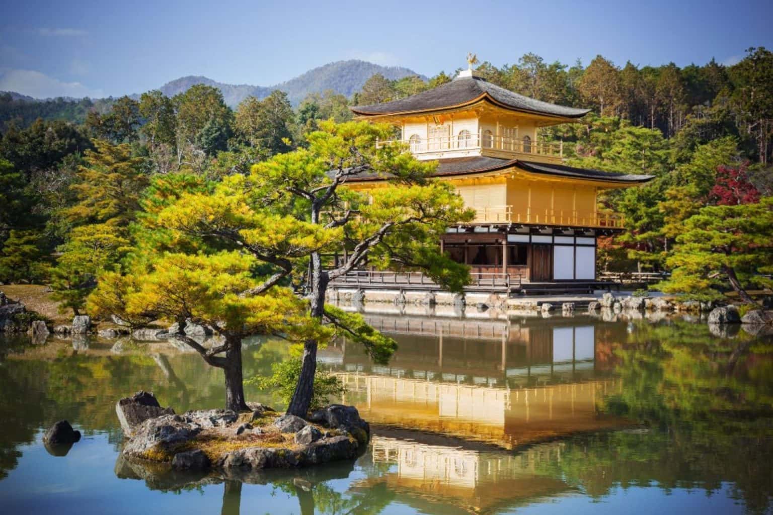 Stunning GOLDEN PAVILION in KYOTO (How to Visit and What to See ...