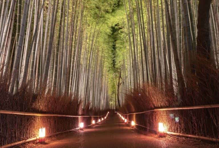 14 Amazing THINGS To DO In ARASHIYAMA, Kyoto (Map+Useful Tips ...