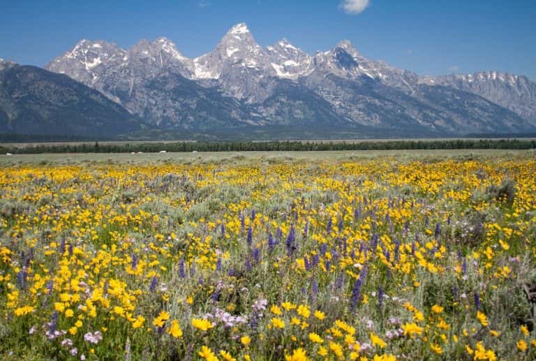 42-Mile SCENIC LOOP DRIVE in GRAND TETON (24 Stops You Can't Miss ...