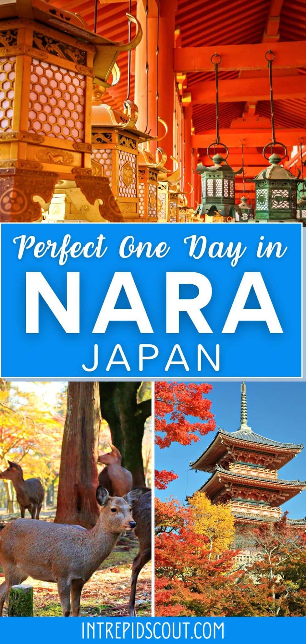 Perfect ONE DAY in NARA - 6 Things You Can't Miss (Maps+Useful Tips ...