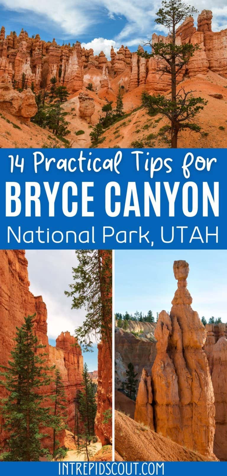 14 Practical BRYCE CANYON TIPS for First Visit (Important: Read Before ...