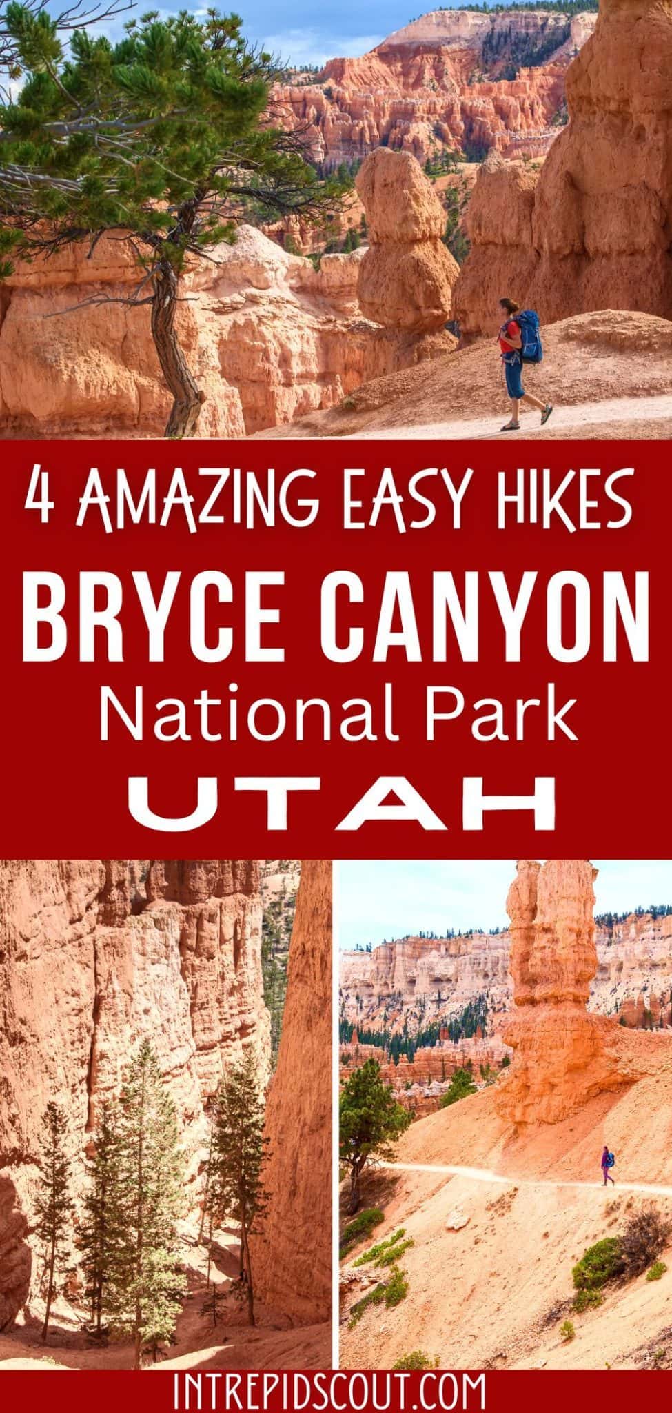 4 Amazing EASY HIKES in Bryce Canyon (Perfect for Beginners) • Intrepid ...