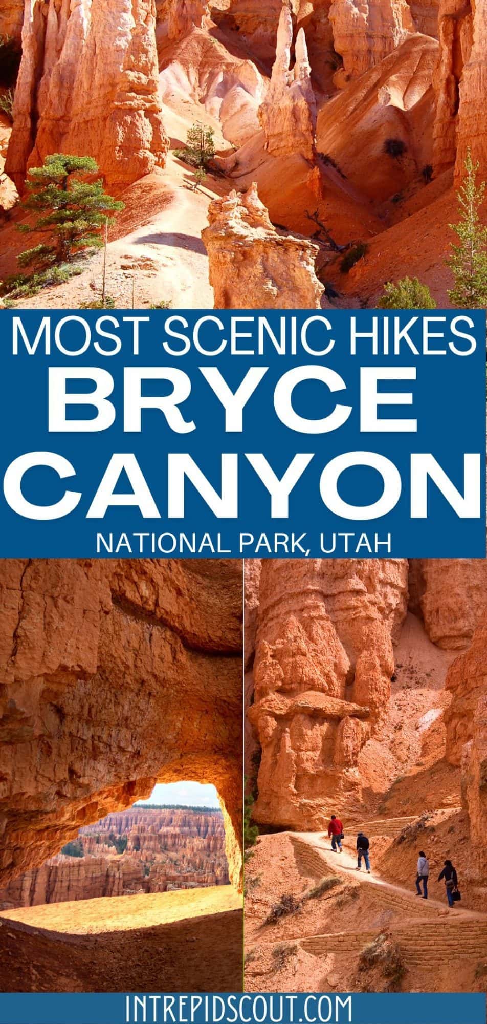 11 Most Scenic HIKES in BRYCE CANYON (Maps+Important Tips) • Intrepid Scout