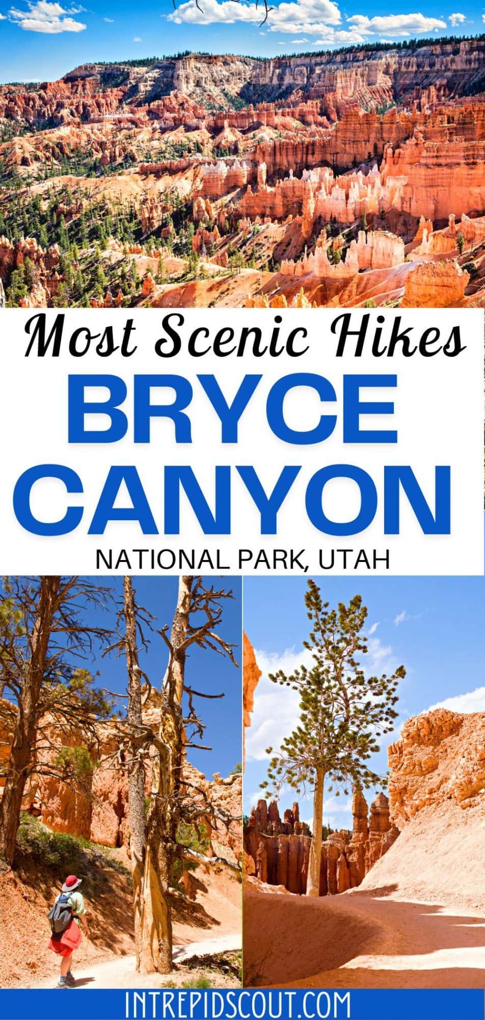 11 Most Scenic HIKES in BRYCE CANYON (Maps+Important Tips) • Intrepid Scout