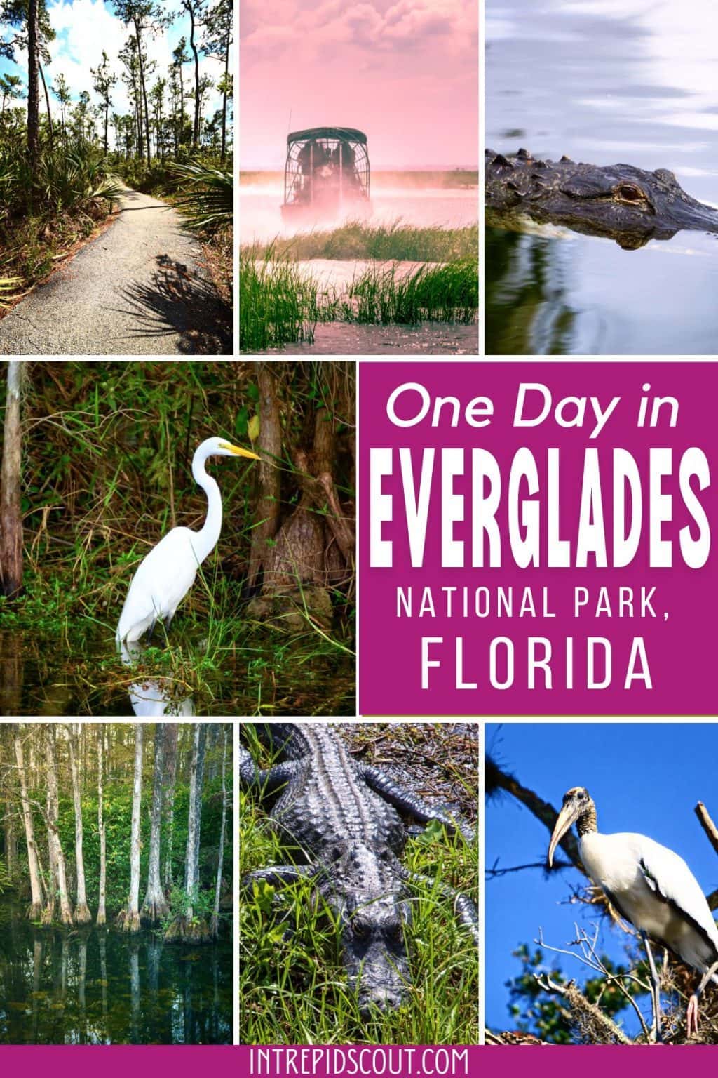 EVERGLADES National Park in ONE DAY (9 Amazing Things You Can't Miss ...