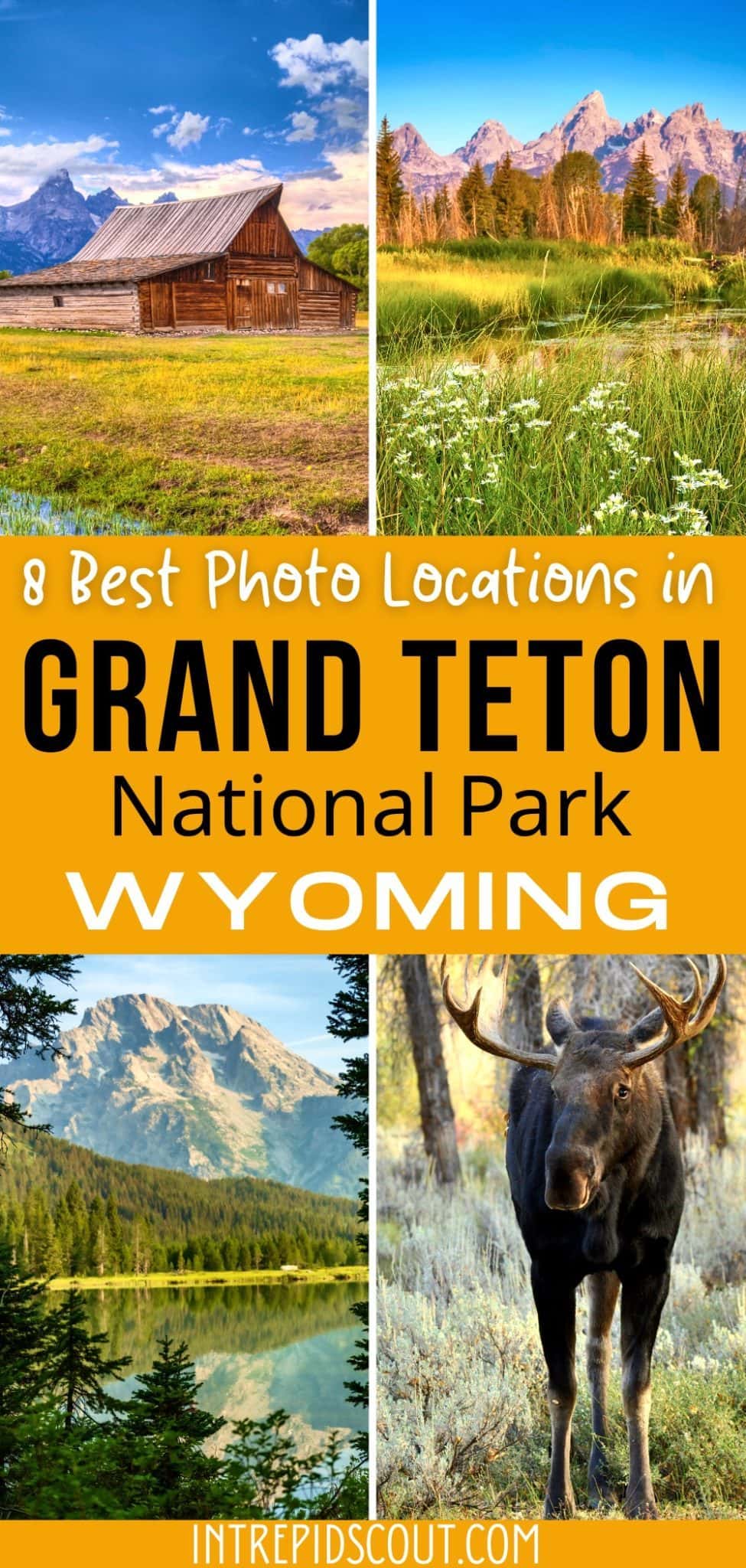 6 Best Photography Locations in Grand Teton (+Useful Photo Tips ...