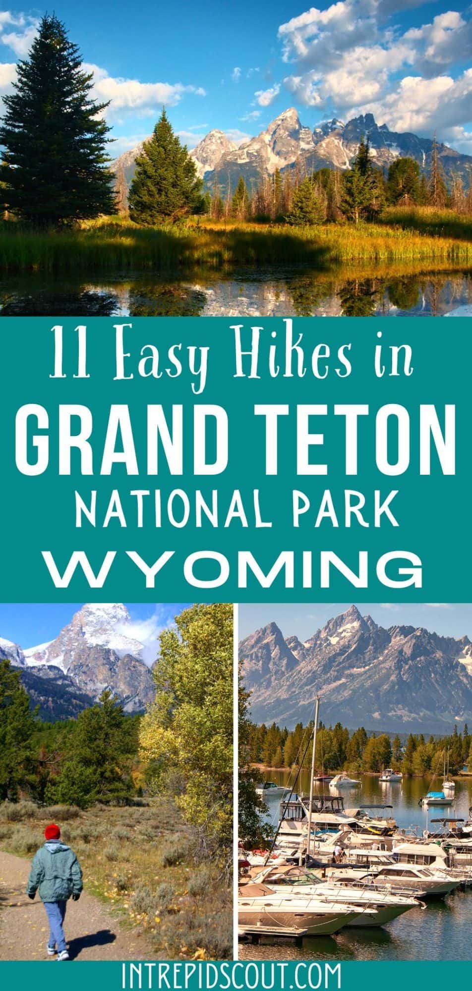 11 EASY HIKES in GRAND TETON Perfect for Beginners (Maps+Tips