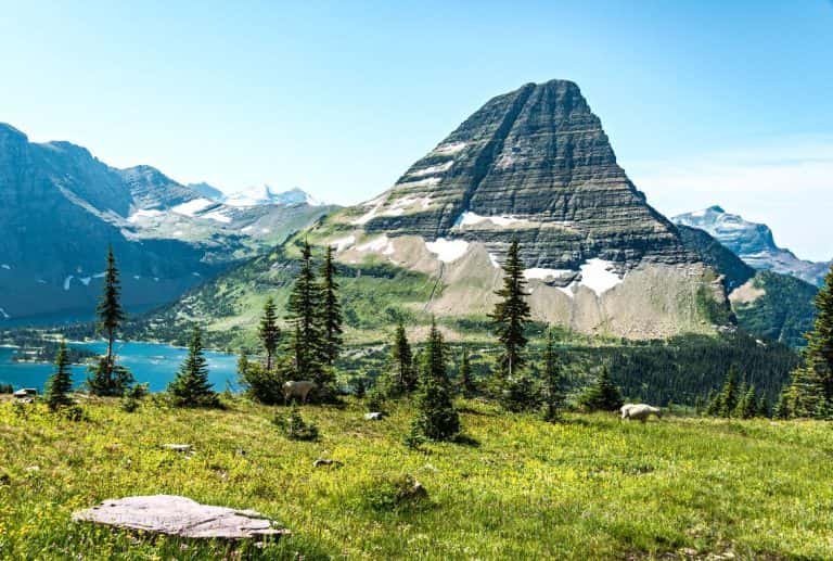 9 Most SCENIC HIKES in GLACIER National Park You Need to Explore (MAPS ...