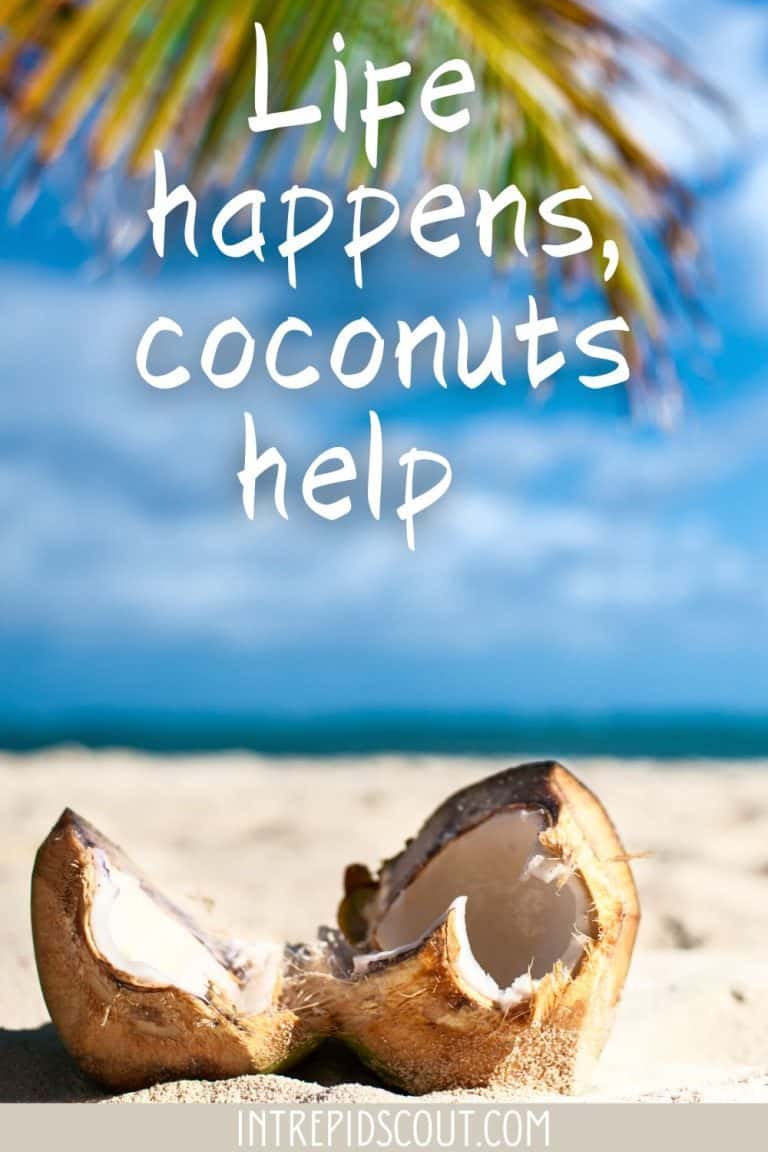 299 Gorgeous Tropical Vacation Captions and Quotes (Escape to Paradise ...