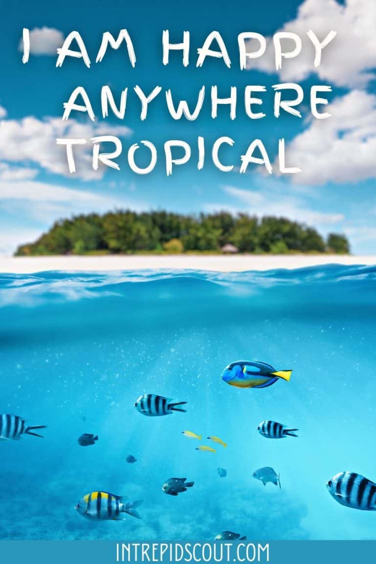 299 Gorgeous Tropical Vacation Captions and Quotes (Escape to Paradise ...