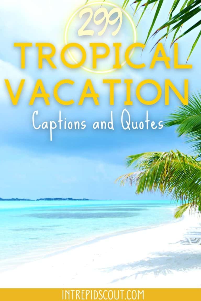 299 Gorgeous Tropical Vacation Captions and Quotes (Escape to Paradise ...