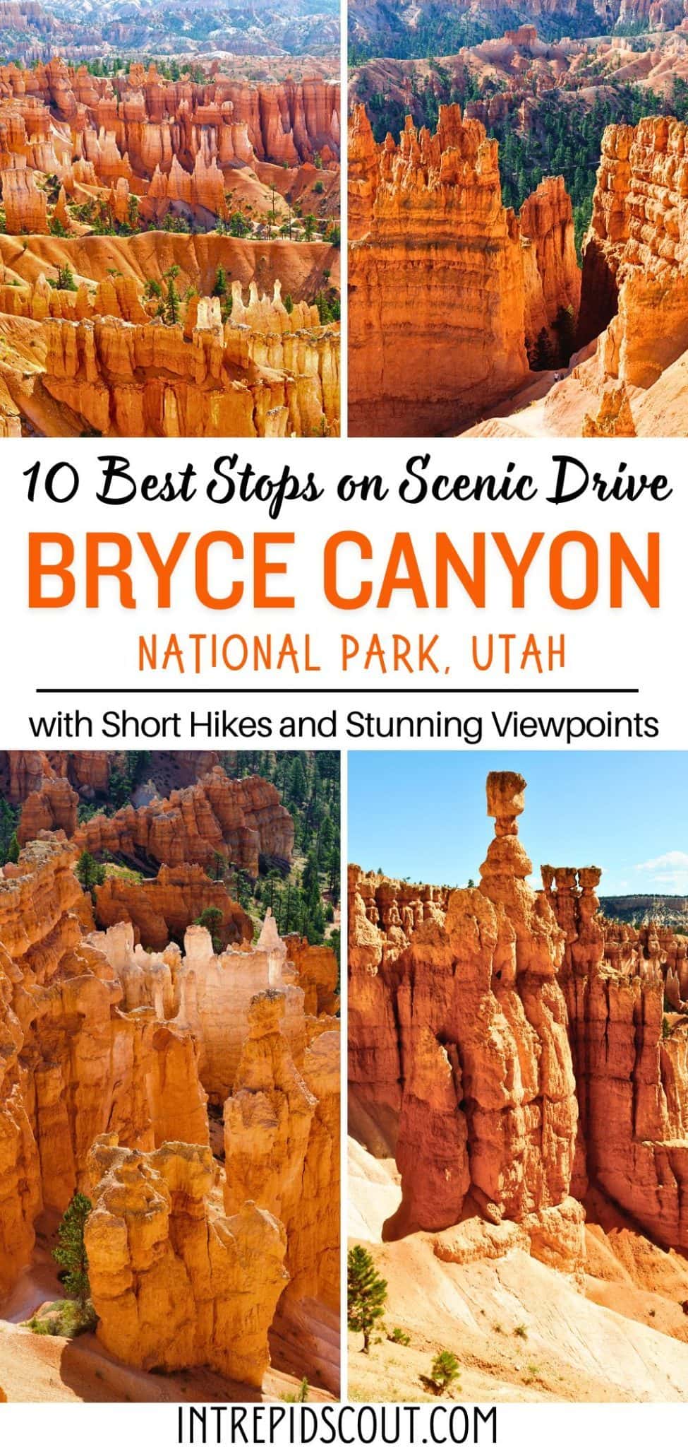 10 Best Stops on Scenic Drive in Bryce Canyon (Map+Tips) • Intrepid Scout