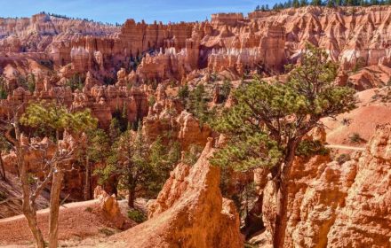 Easy Hikes in Bryce Canyon