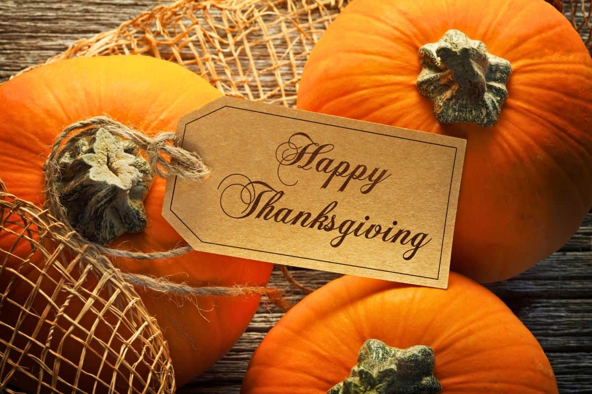 104 Thanksgiving Day Captions And Quotes To Celebrate Gratitude 