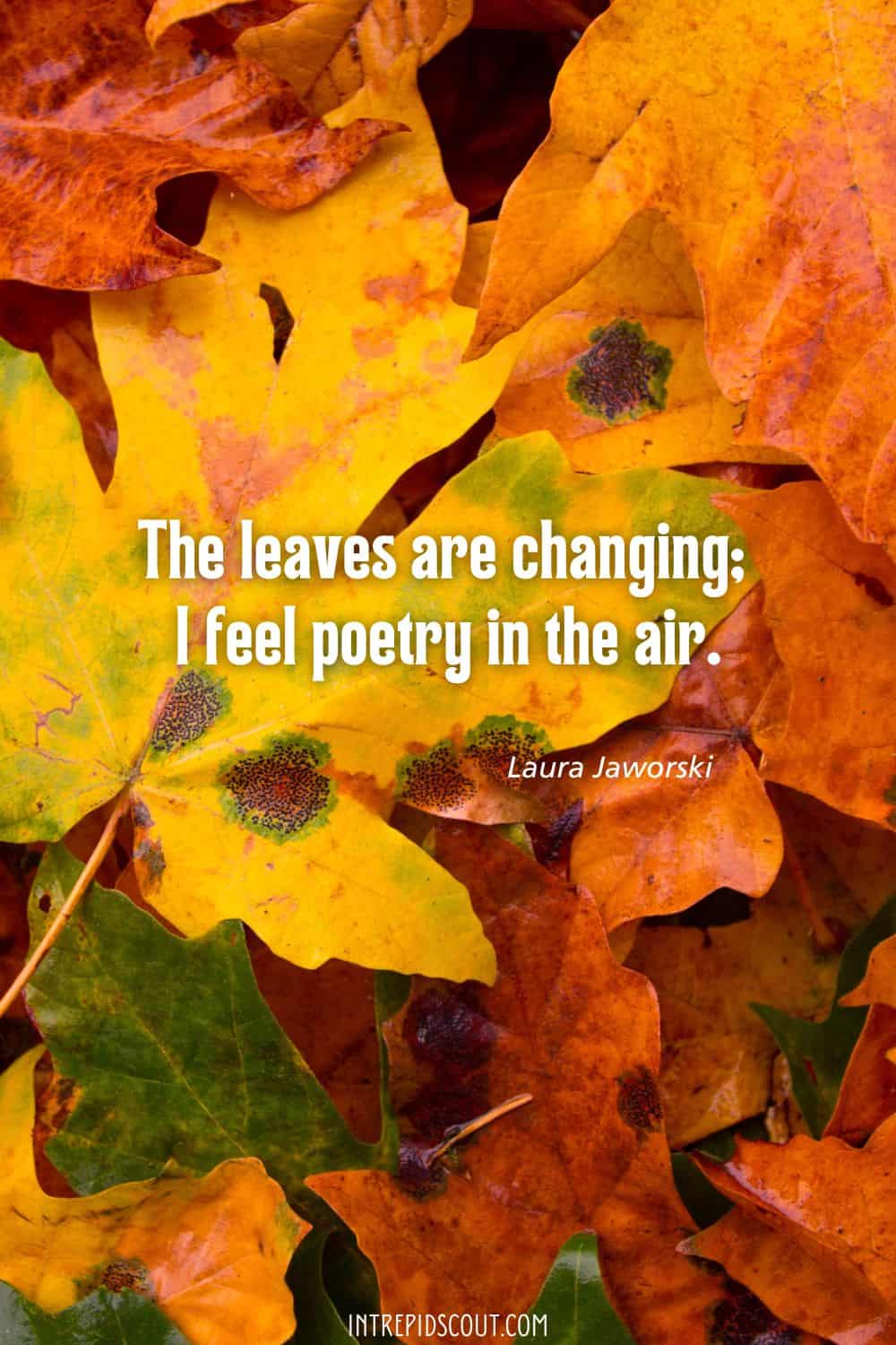 Changing Leaves Quotes
