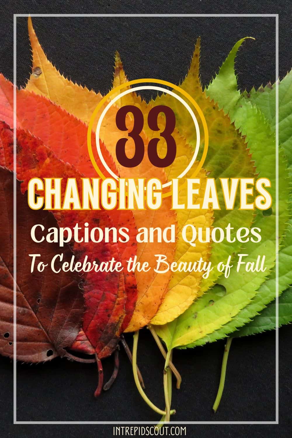 Changing Leaves Quotes