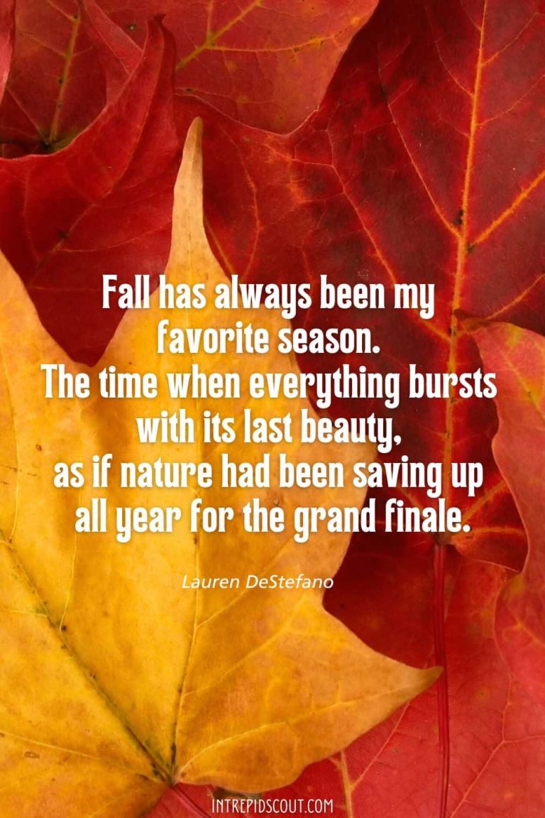 33 Changing Leaves Quotes That Celebrate the Beauty of Fall • Intrepid ...