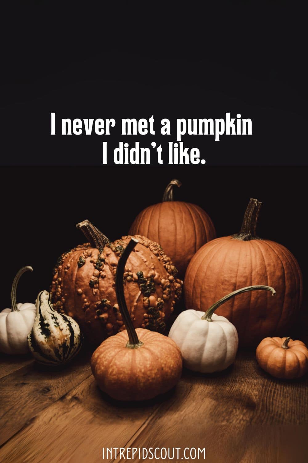 Pumpkin Quotes