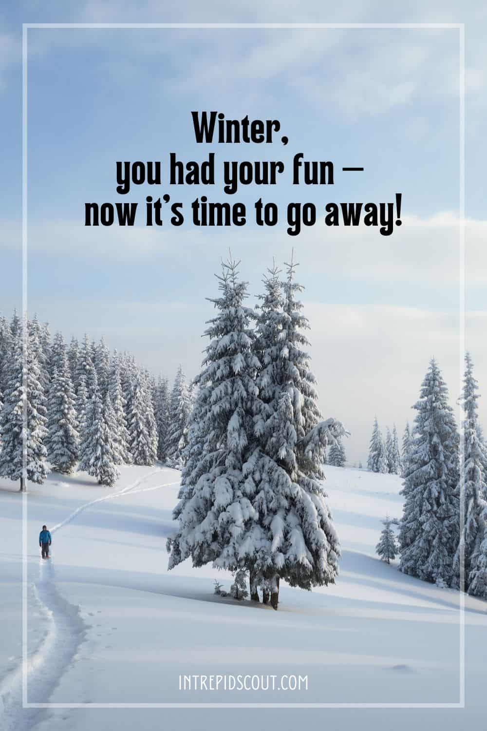 Winter Captions and Quotes