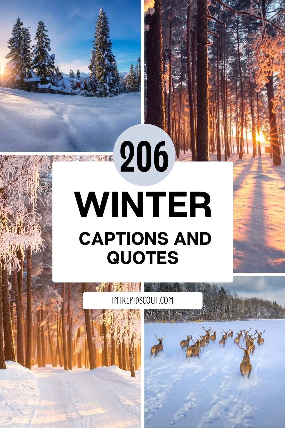 Winter Captions and Quotes