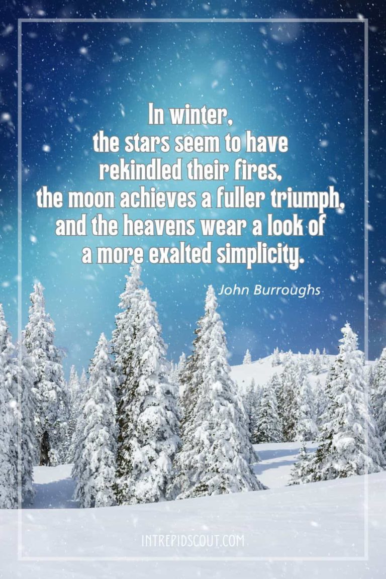 206 Winter Captions and Quotes to Capture the Charm of the Season ...