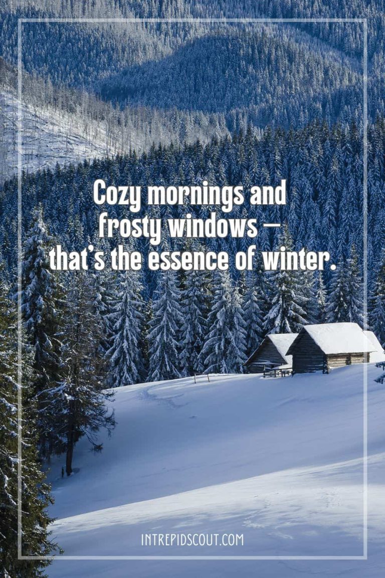 206 Winter Captions and Quotes to Capture the Charm of the Season ...