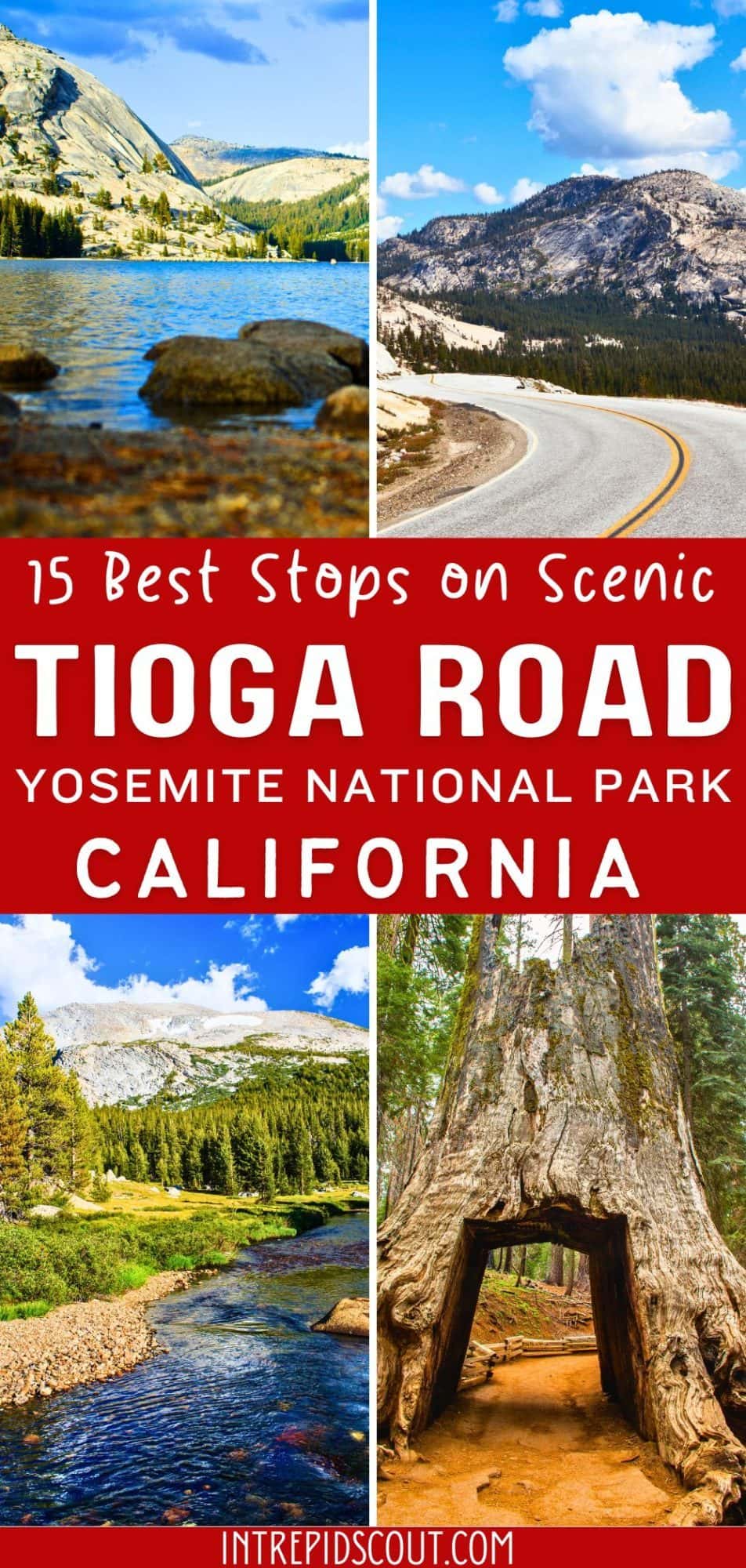 15 Best Stops on Tioga Road: Yosemite's Scenic Highway (Useful Tips and ...