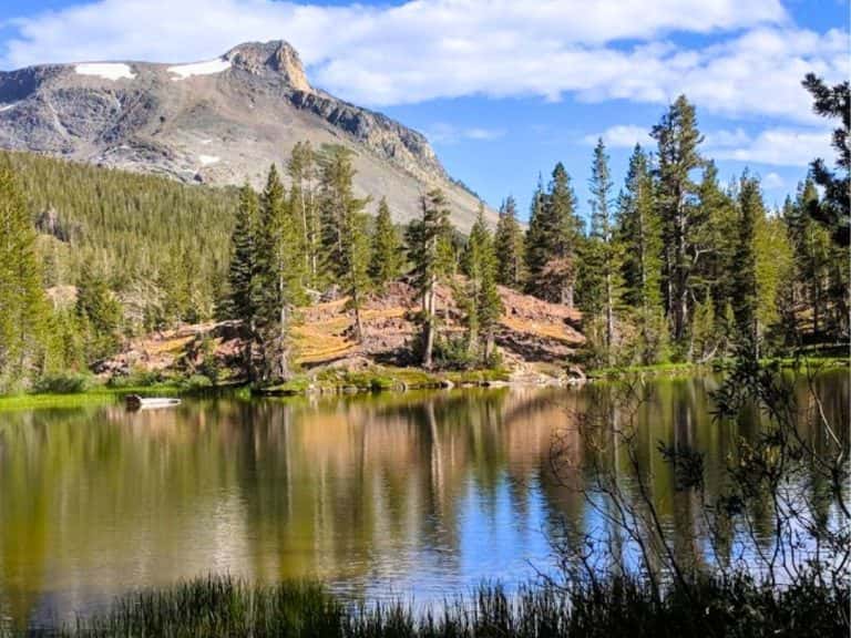 15 Best Stops on Tioga Road: Yosemite's Scenic Highway (Useful Tips and ...