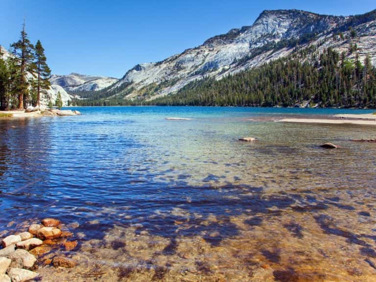 5 Amazing Scenic Drives in Yosemite (with Best Stops+Maps) • Intrepid Scout