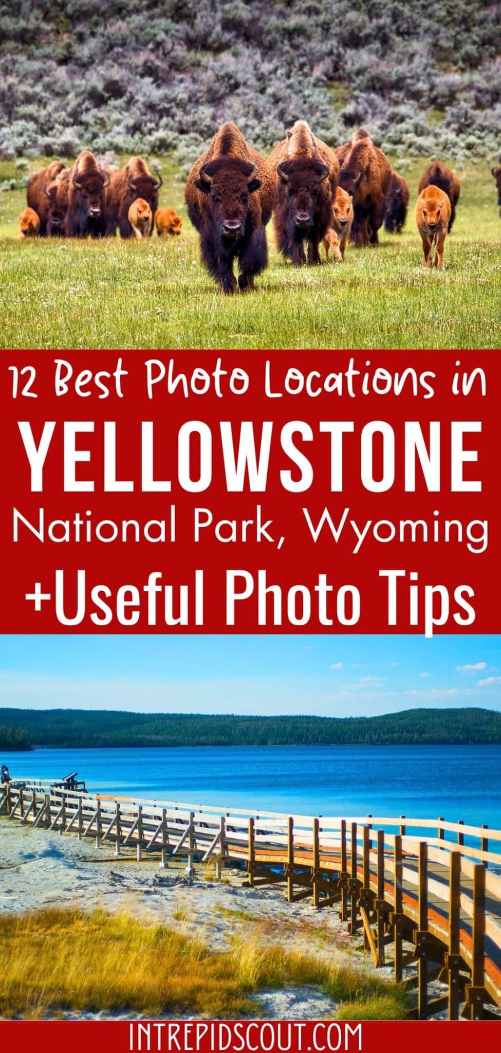 12 Best Photography Locations in Yellowstone (+Useful Photo Tips ...