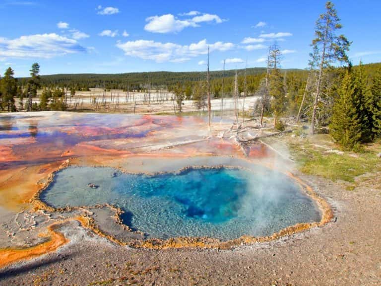 23 Best Stops on Yellowstone Lower Loop Drive (Maps+Useful Tips ...