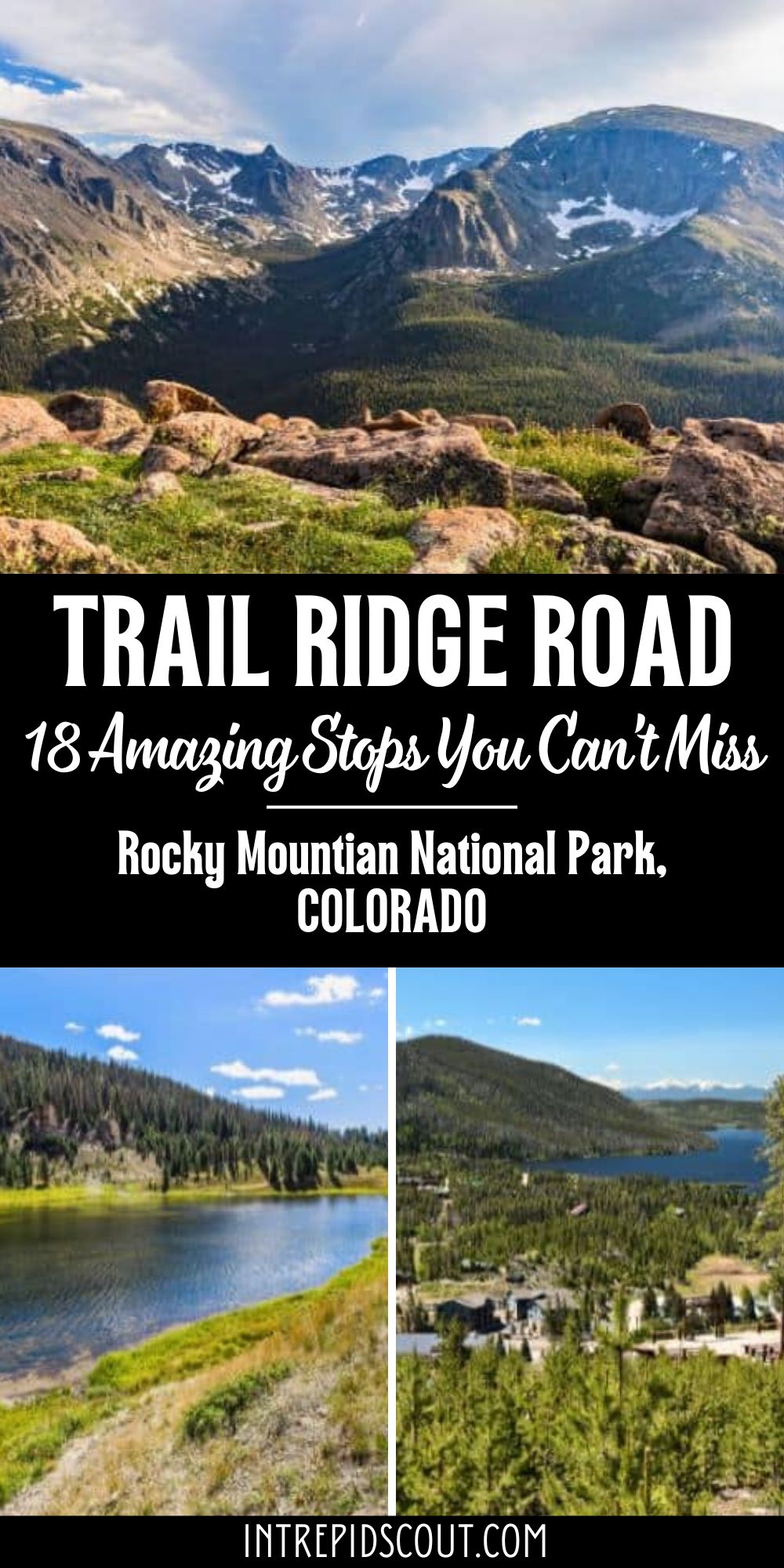 Best Stops on Trail Ridge Road