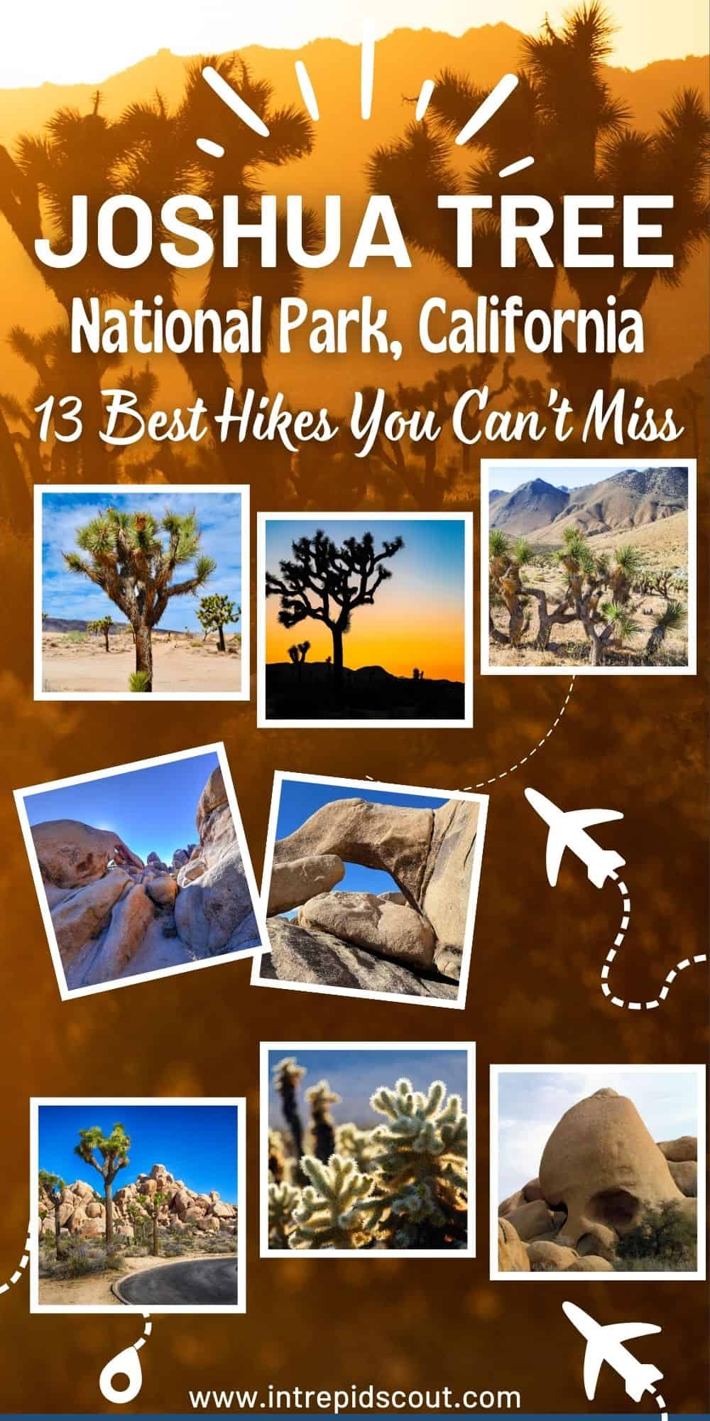 Best Hikes in Joshua Tree