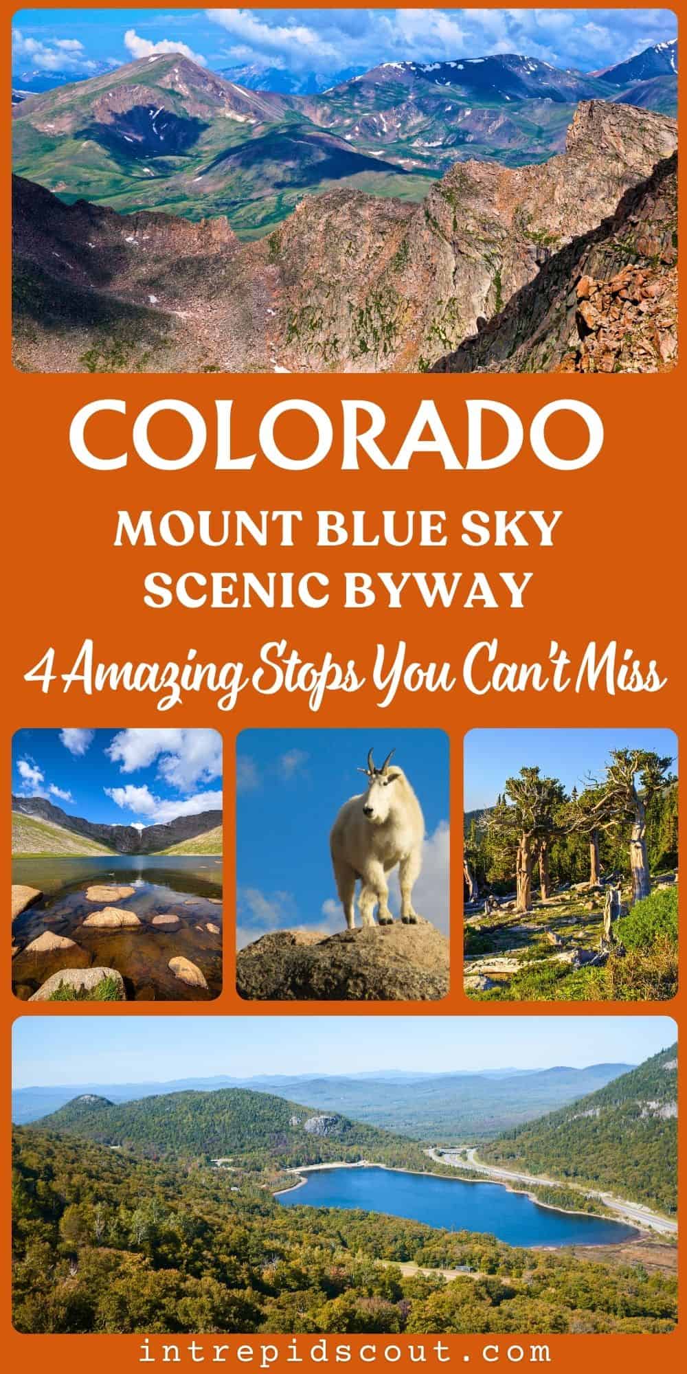 Best Stops on Mount Blue Sky Scenic Byway