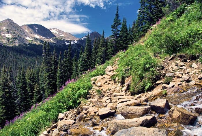 Arapaho National Forest